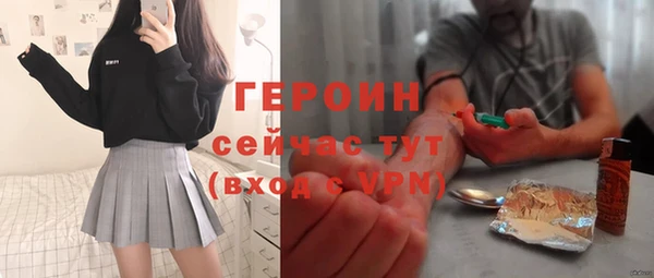 мдпв Инсар