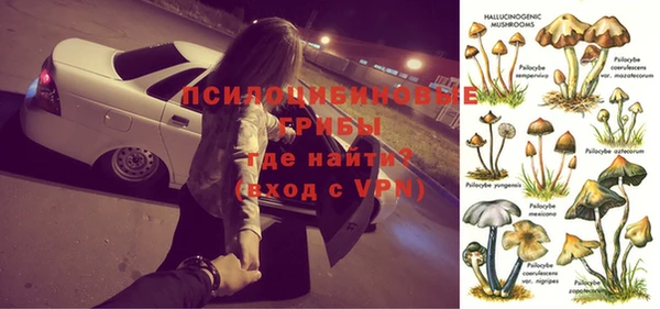 apvp Кинешма