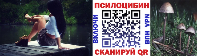 Псилоцибиновые грибы мицелий  купить наркоту  Колпашево 